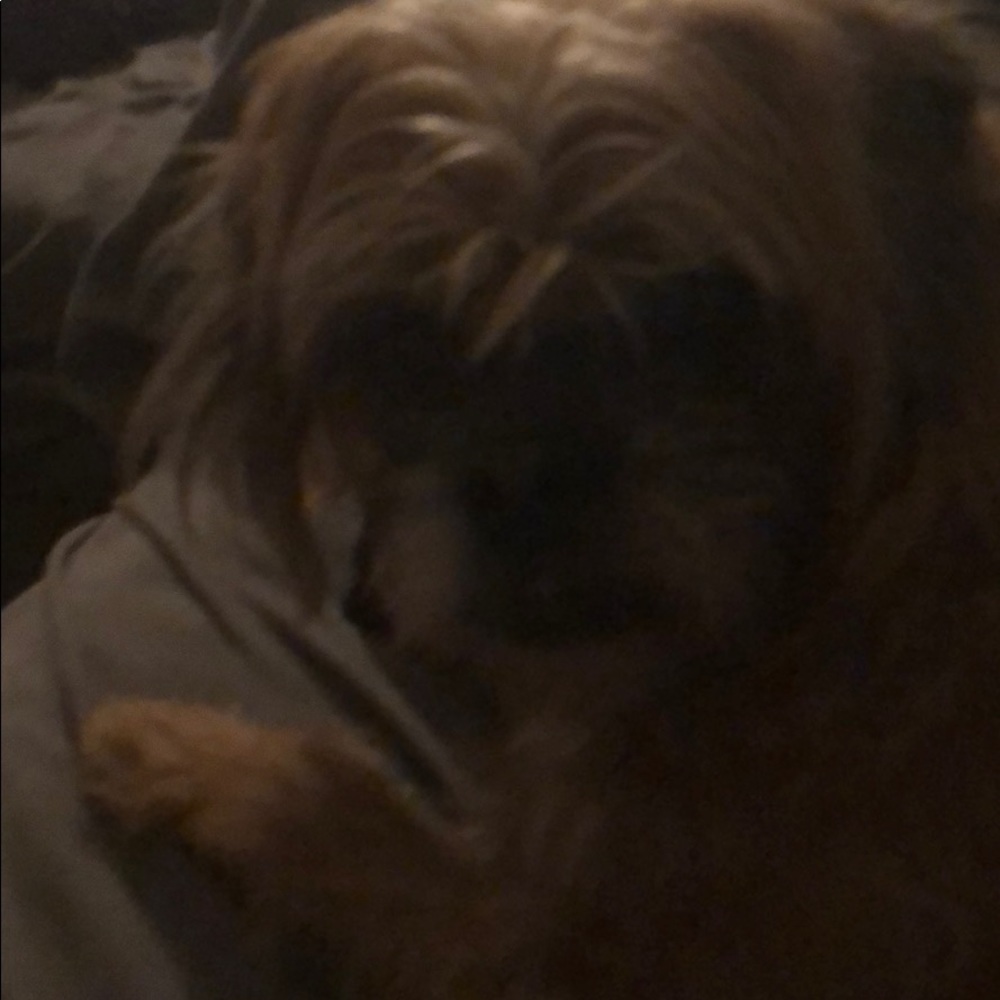 Meet your Posher, Madlen